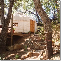 Rachael and Adam's Yurt